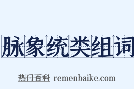 脉象统类组词是什么意思的图片